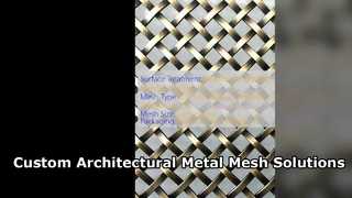 Treillis métallique architectural personnalisé pour une conception de façade moderne