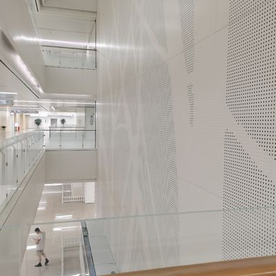 Réseau de perçage de treillis métalliques tissés architecturaux haut de gamme pour mur