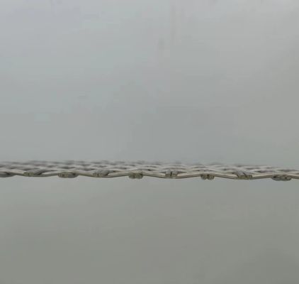 Solution de clôture de sécurité supérieure en argent de 1,2 mm de treillis métallique tissé architectural